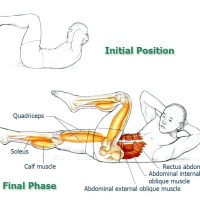 Abdominal Exercises - Spinal and Core Movement and Stabilization
